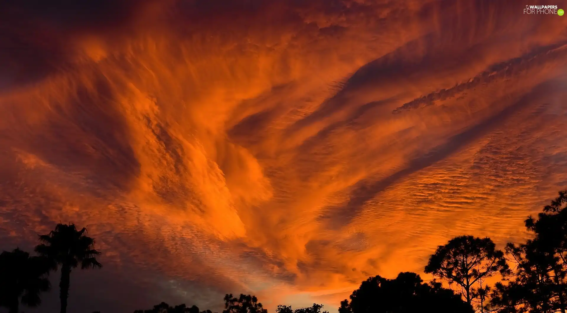 Sky, trees, viewes, clouds