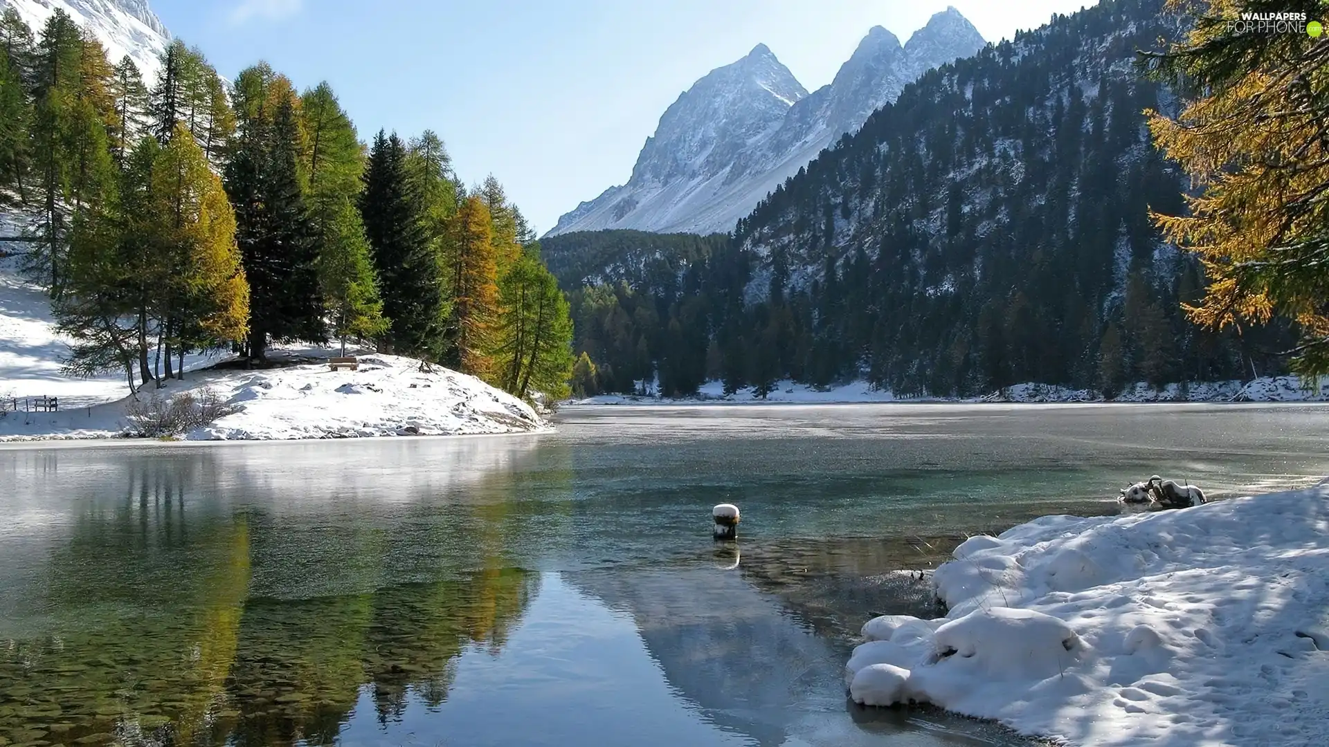 viewes, snow, lake, trees, Mountains