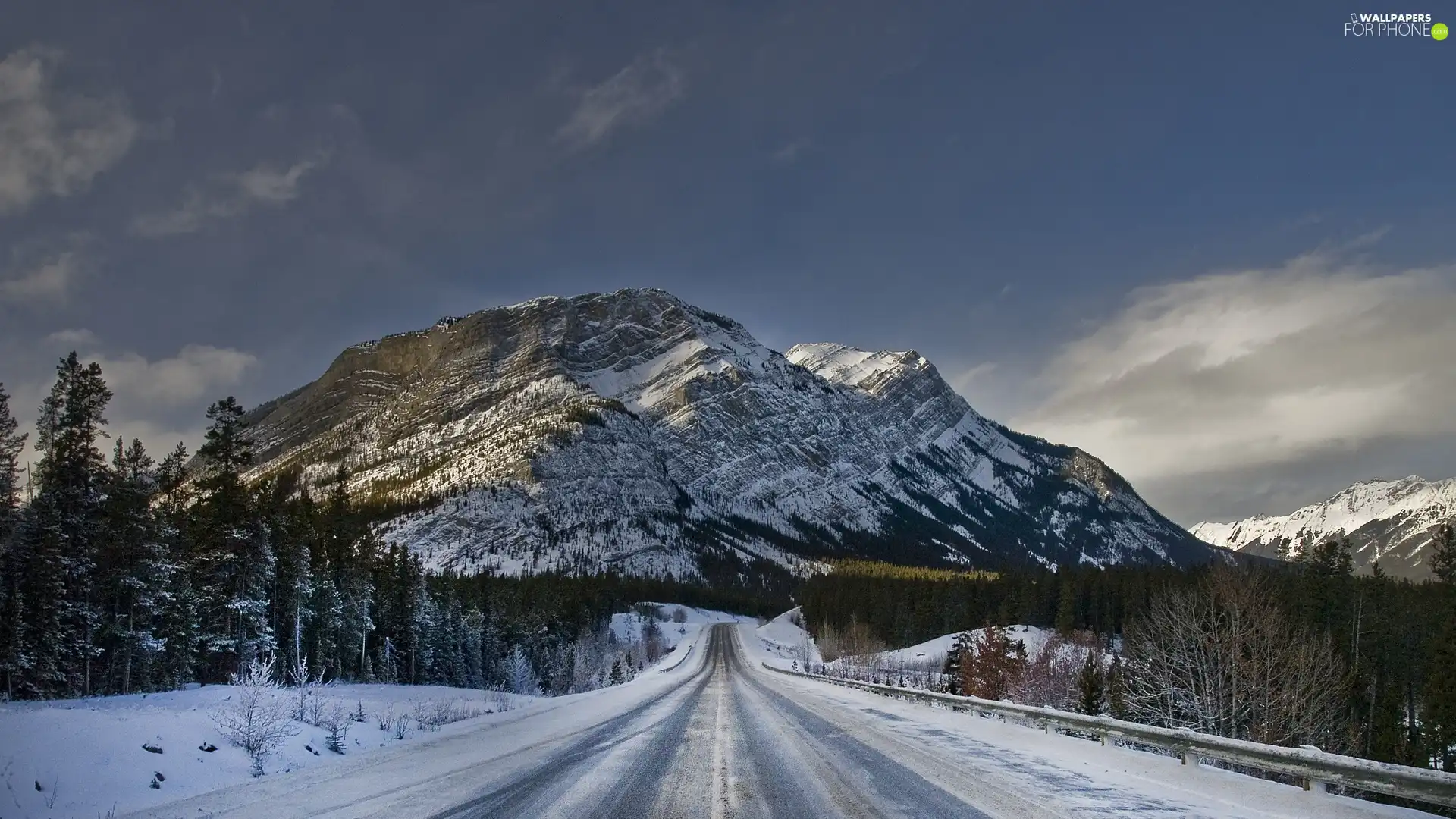 viewes, snow, Way, trees, mountains