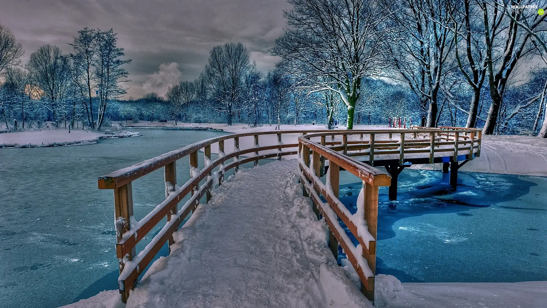 viewes, snow, bridges, trees, River