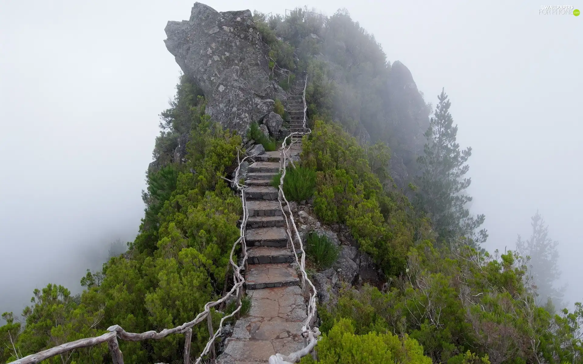 viewes, Stairs, rocks, trees, mountains