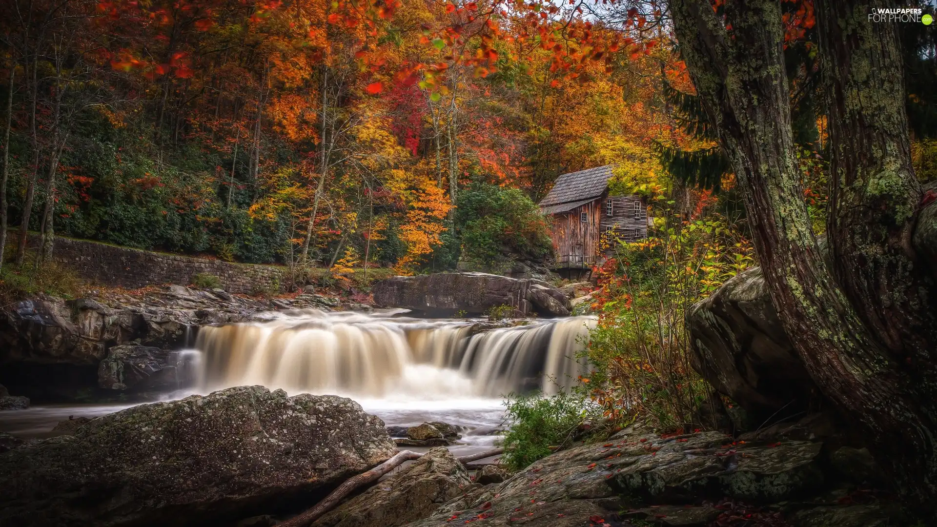 viewes, trees, River, cascade, forest, autumn, Stones, Windmill, rocks
