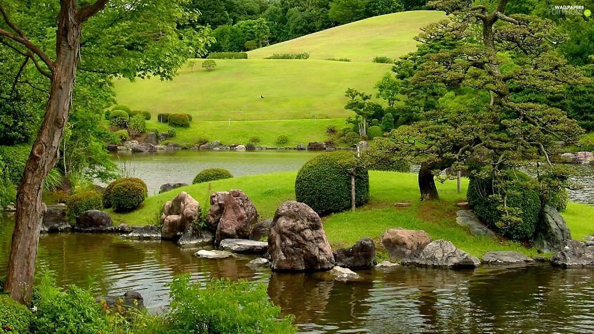 viewes, Stones, lake, trees, medows