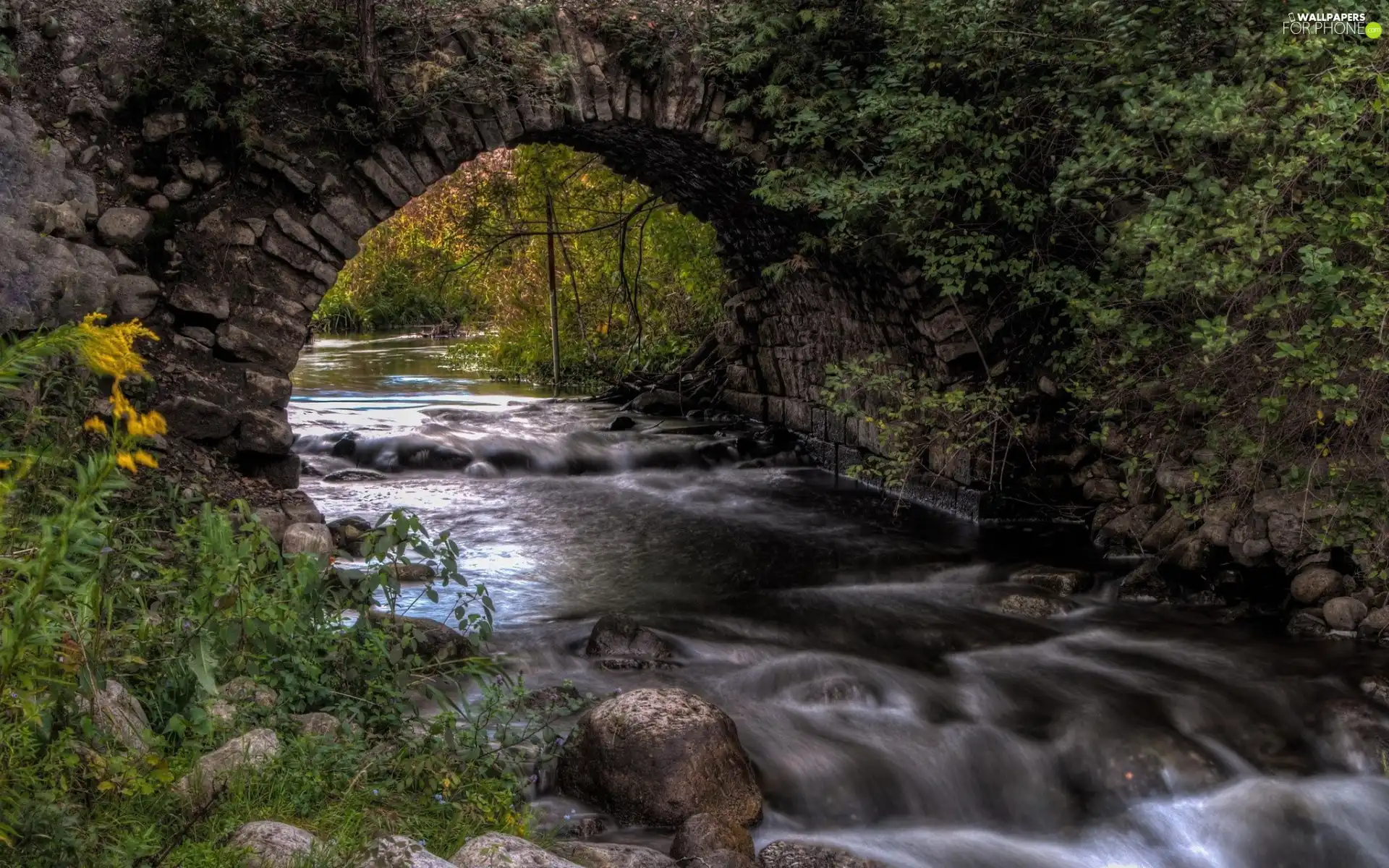 viewes, Stones, bridge, trees, River