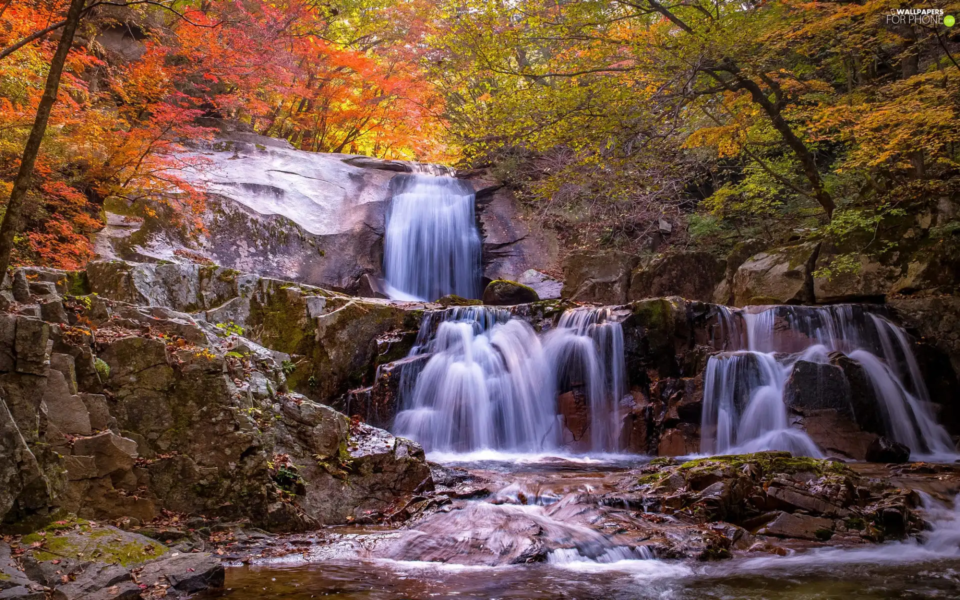 rocks, trees, Stones, viewes, forest, waterfall, autumn