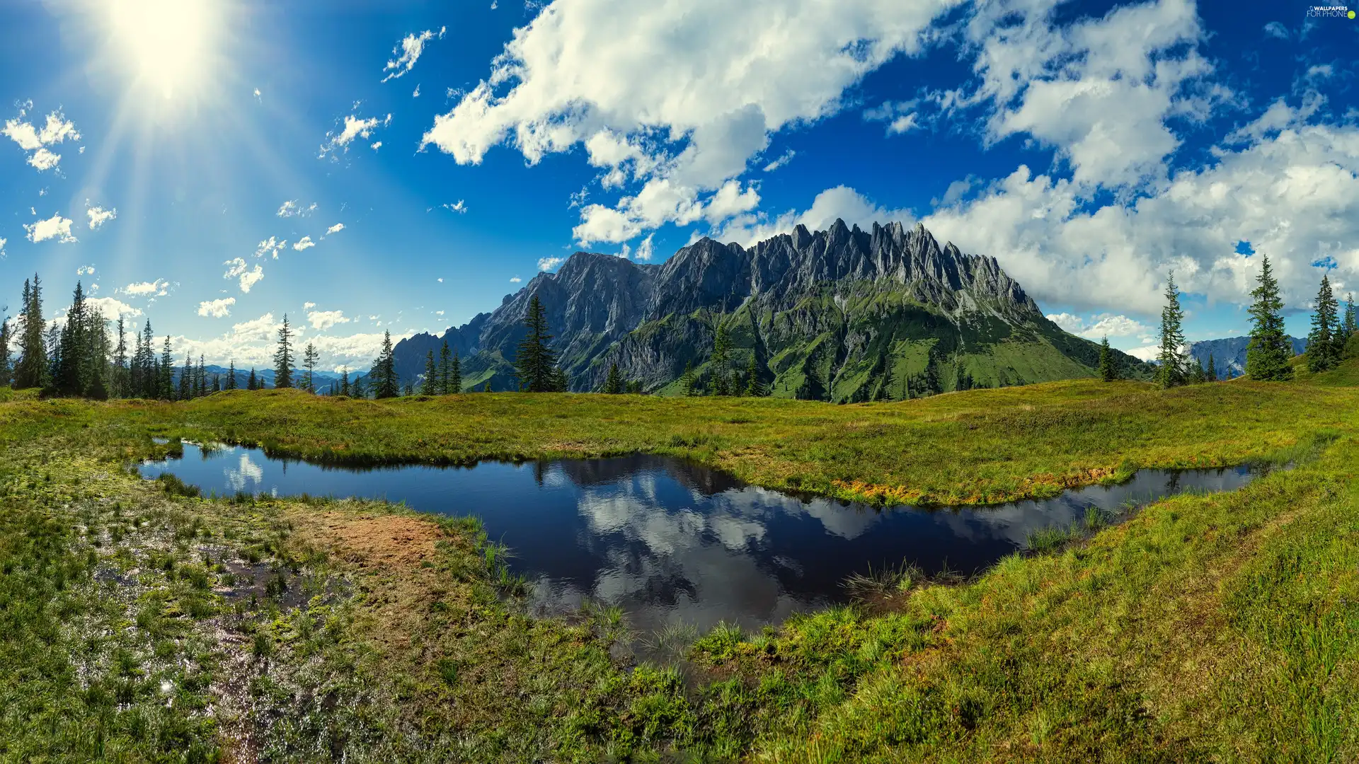 grass, trees, rays of the Sun, viewes, summer, stream, Mountains, clouds