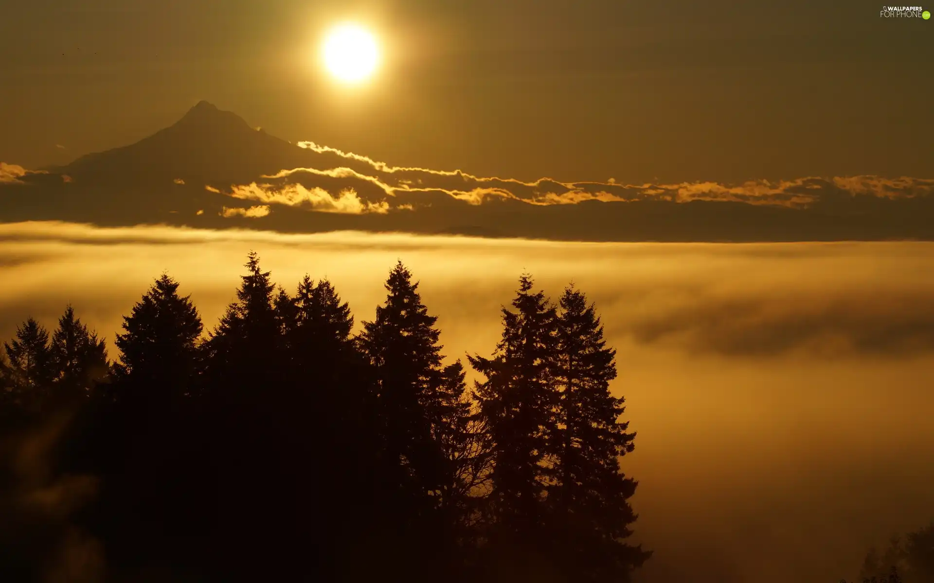 viewes, sun, clouds, trees, Mountains