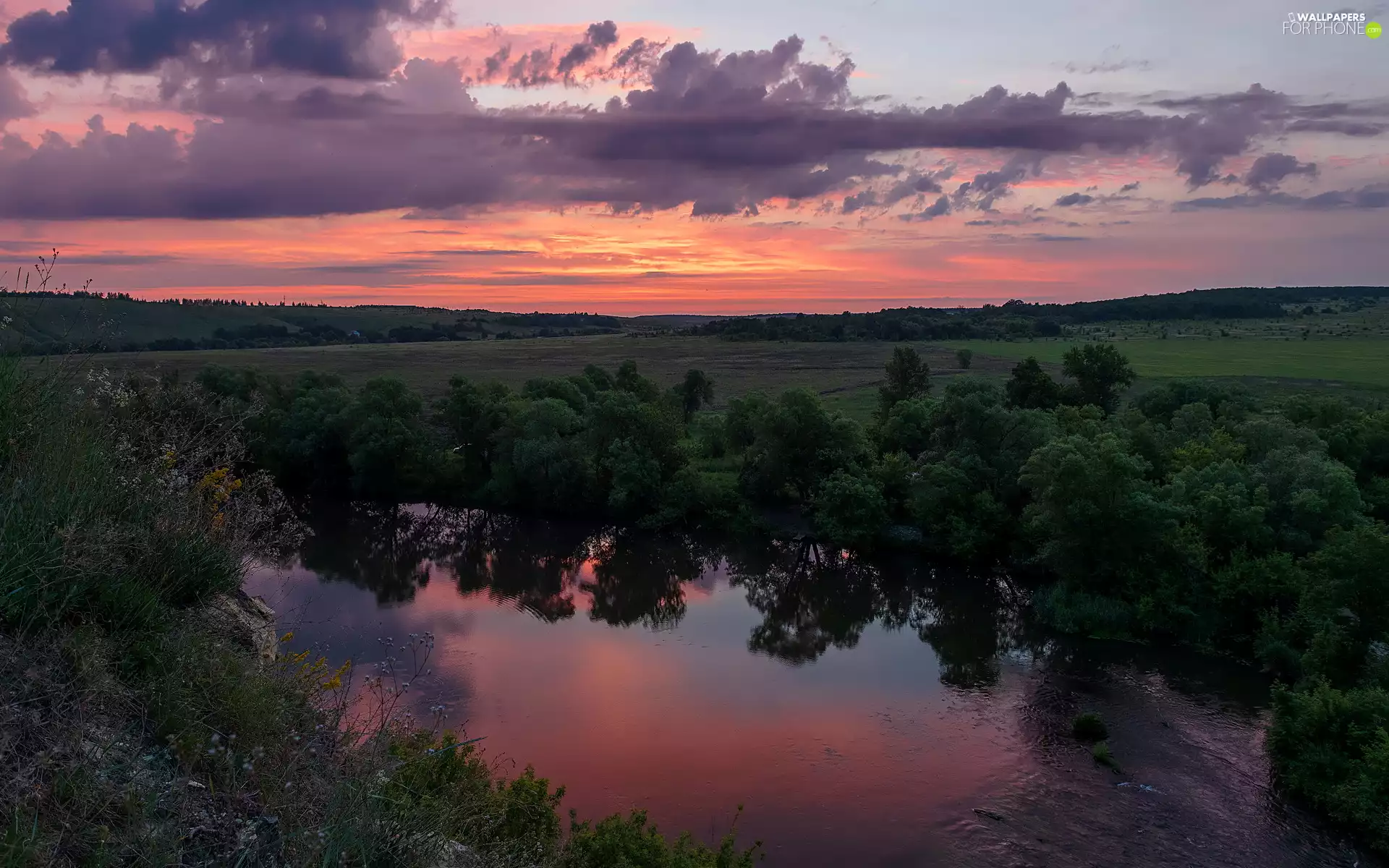 Bush, trees, Sunrise, viewes, River, plain, clouds