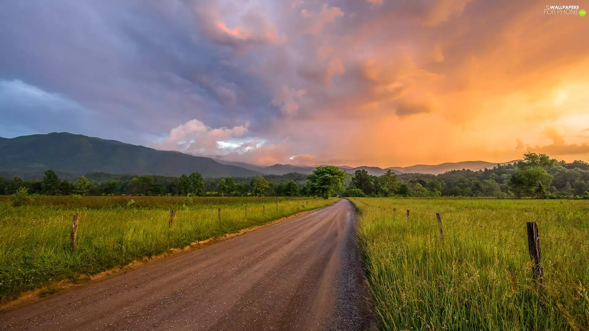 medows, Way, Sunrise, trees, clouds, forest, Mountains, viewes