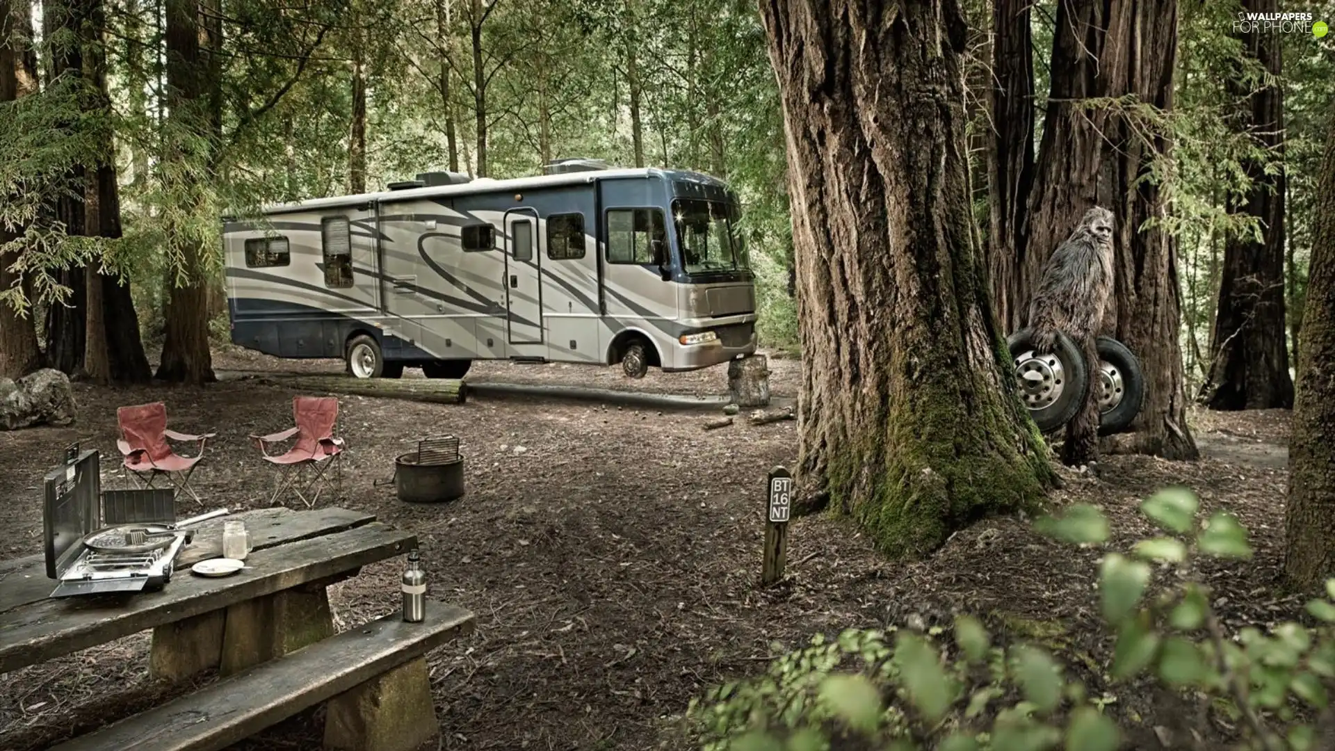 viewes, table, anthropoid, Stool, bus, trees, forest, Old car