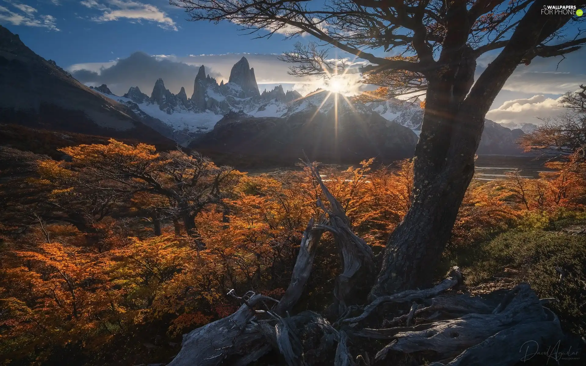 rays of the Sun, Argentina, viewes, trees, Mountains, Los Glaciares National Park, Fitz Roy, Mountains, Patagonia, mount, autumn