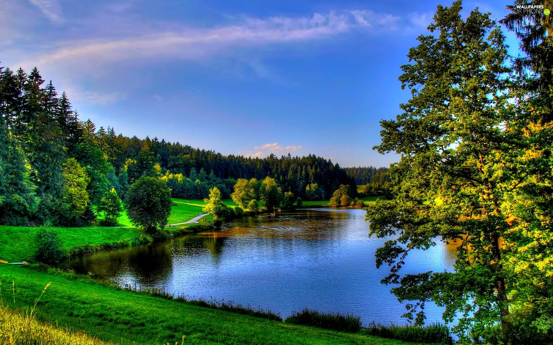 viewes, lake, trees