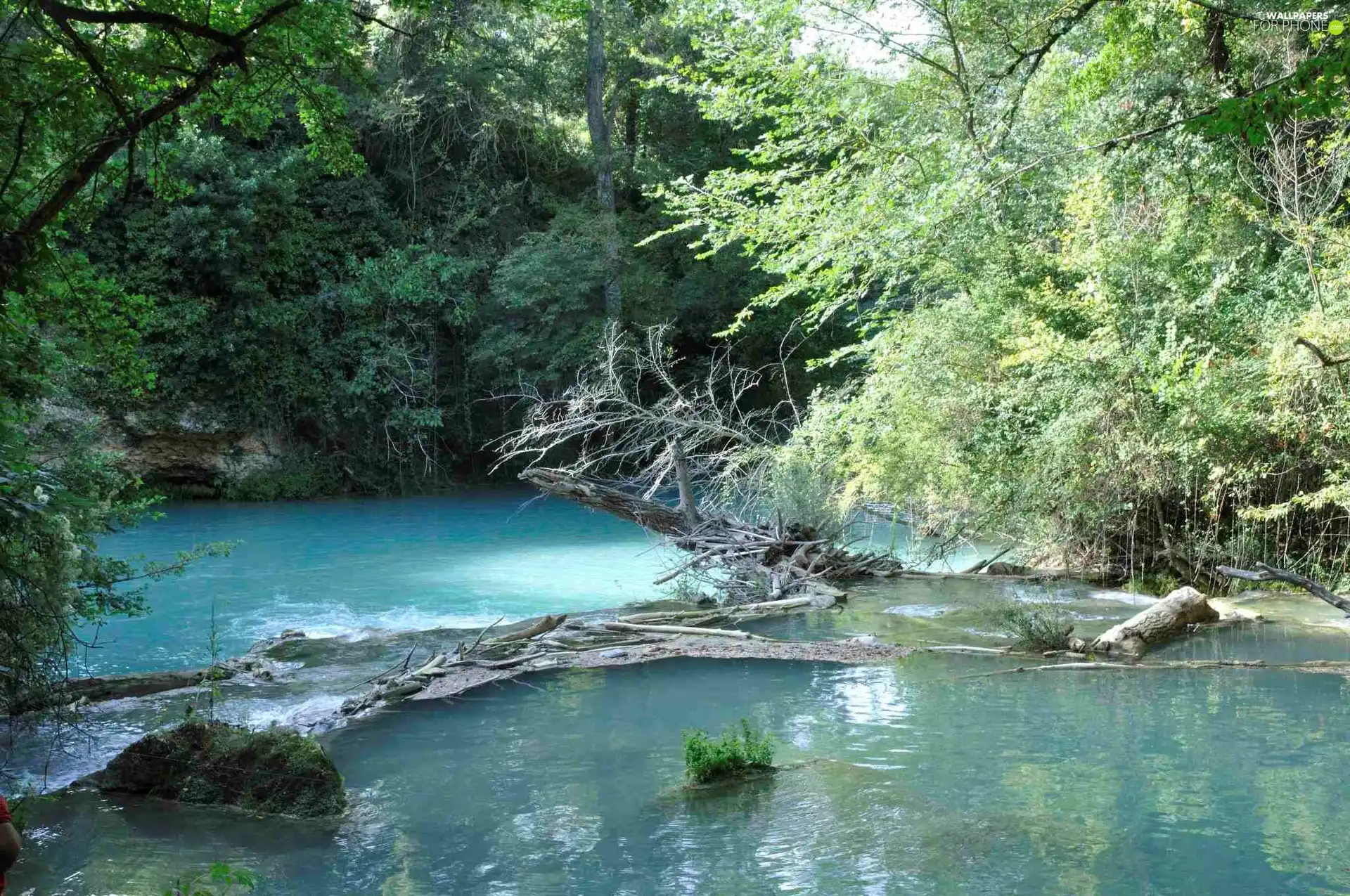 viewes, River, trees