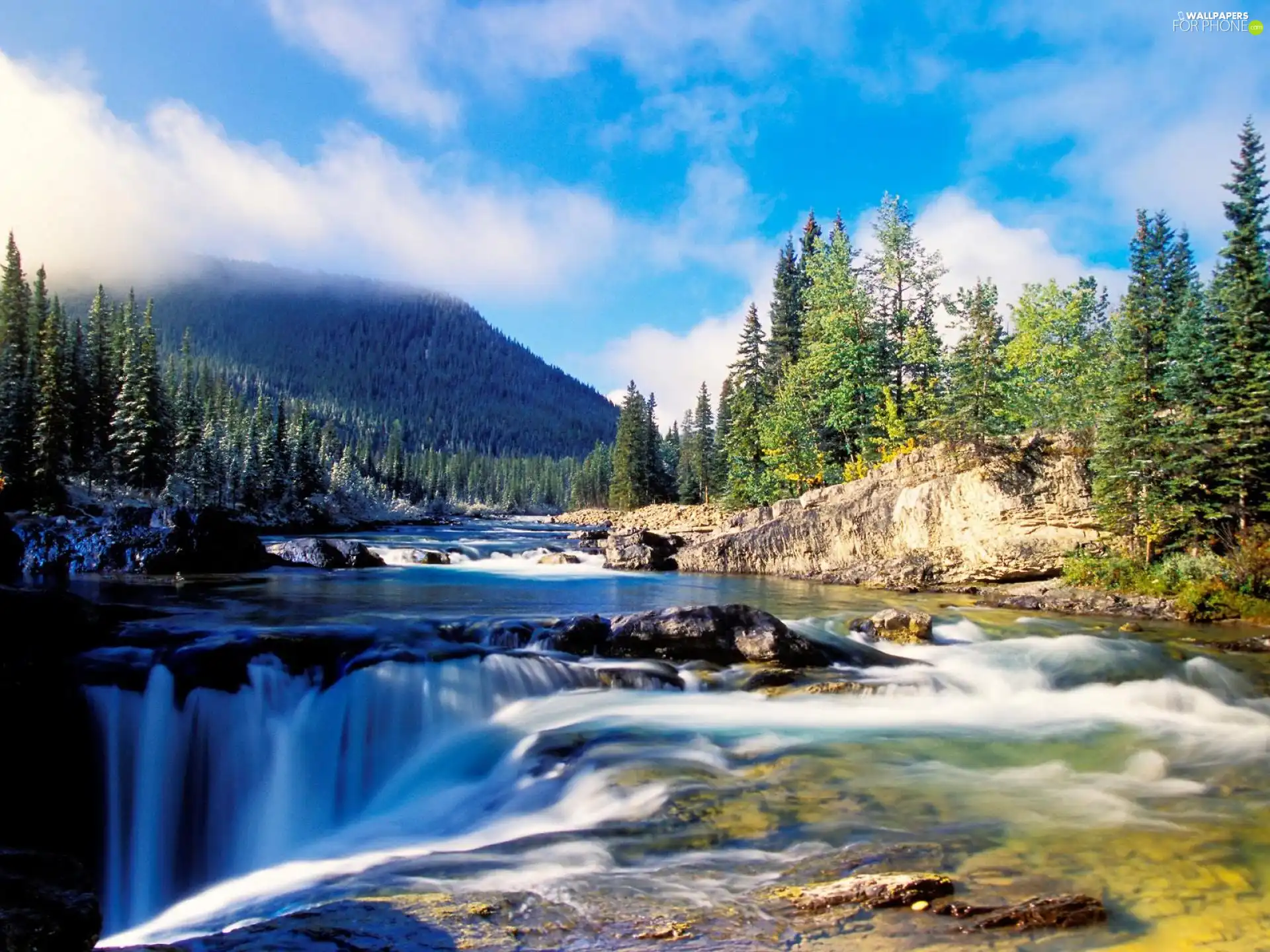 viewes, River, trees