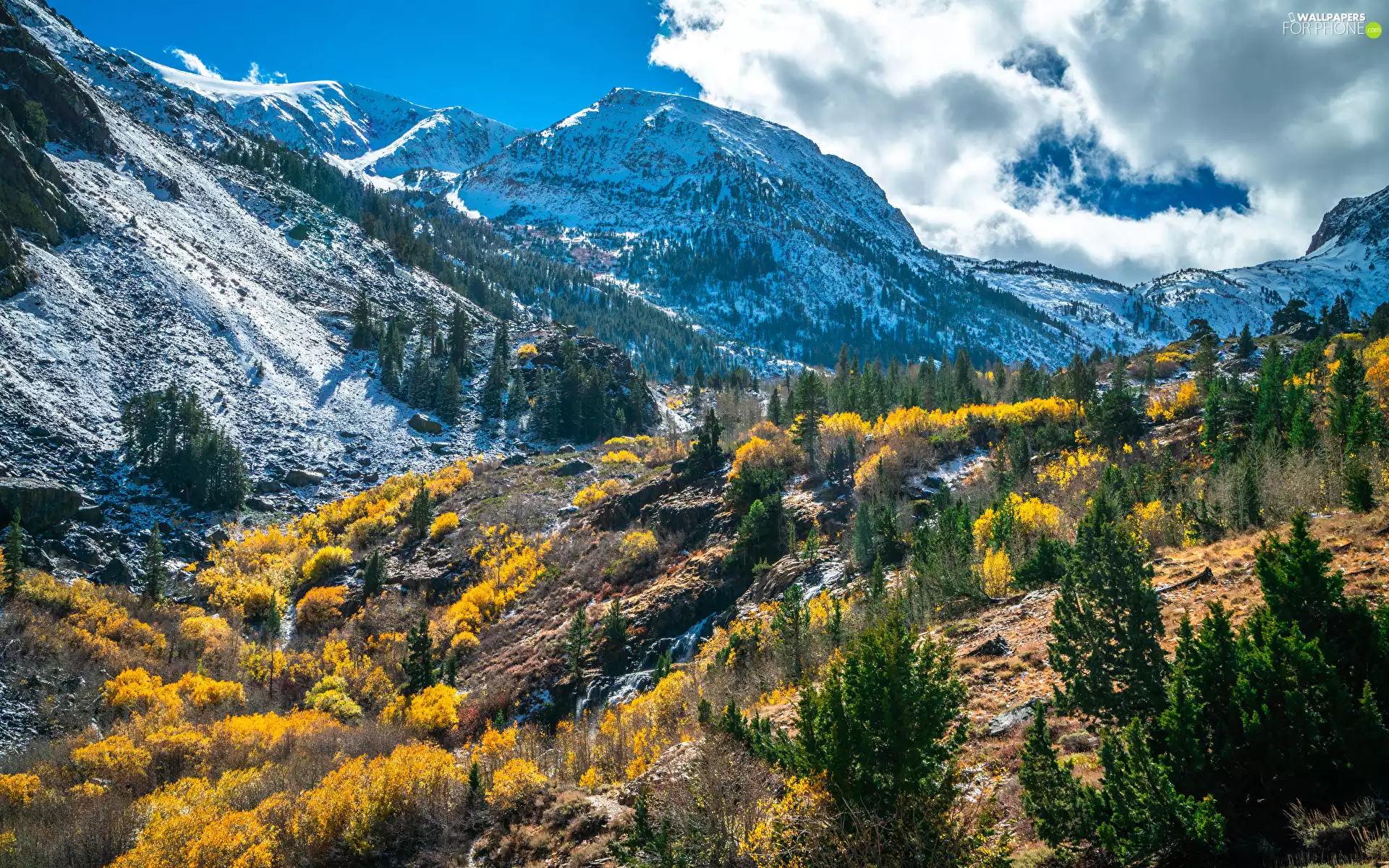 viewes, Mountains, trees, viewes, clouds, trees