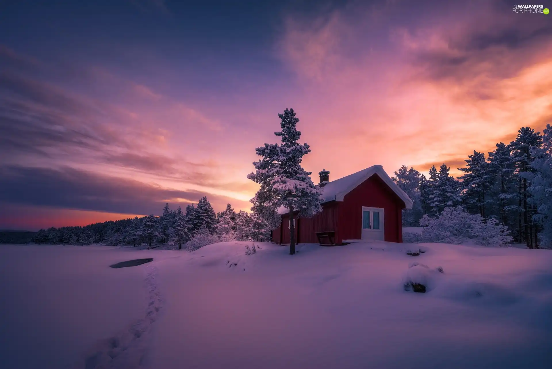 house, winter, viewes, twilight, trees, traces