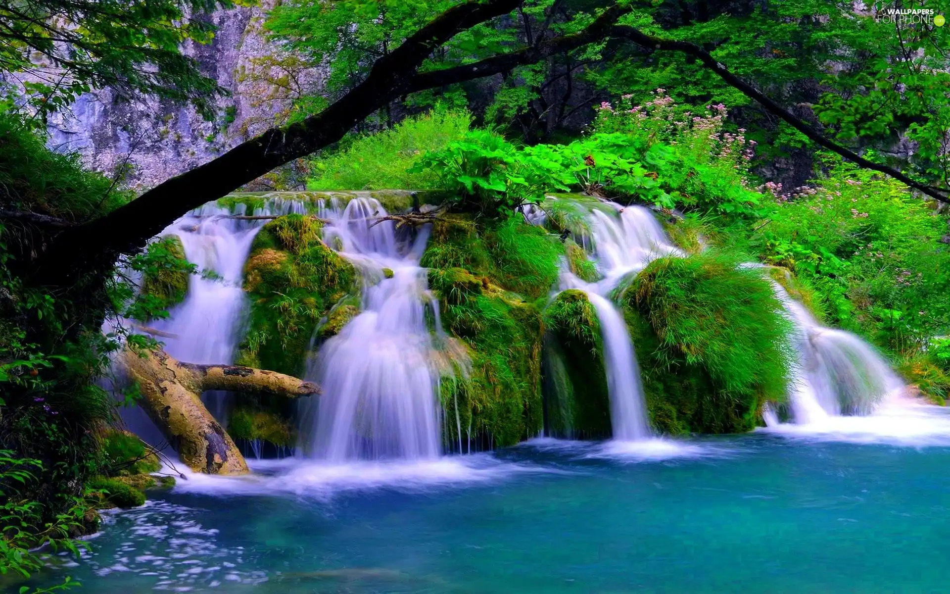 waterfall, trees, viewes, lake