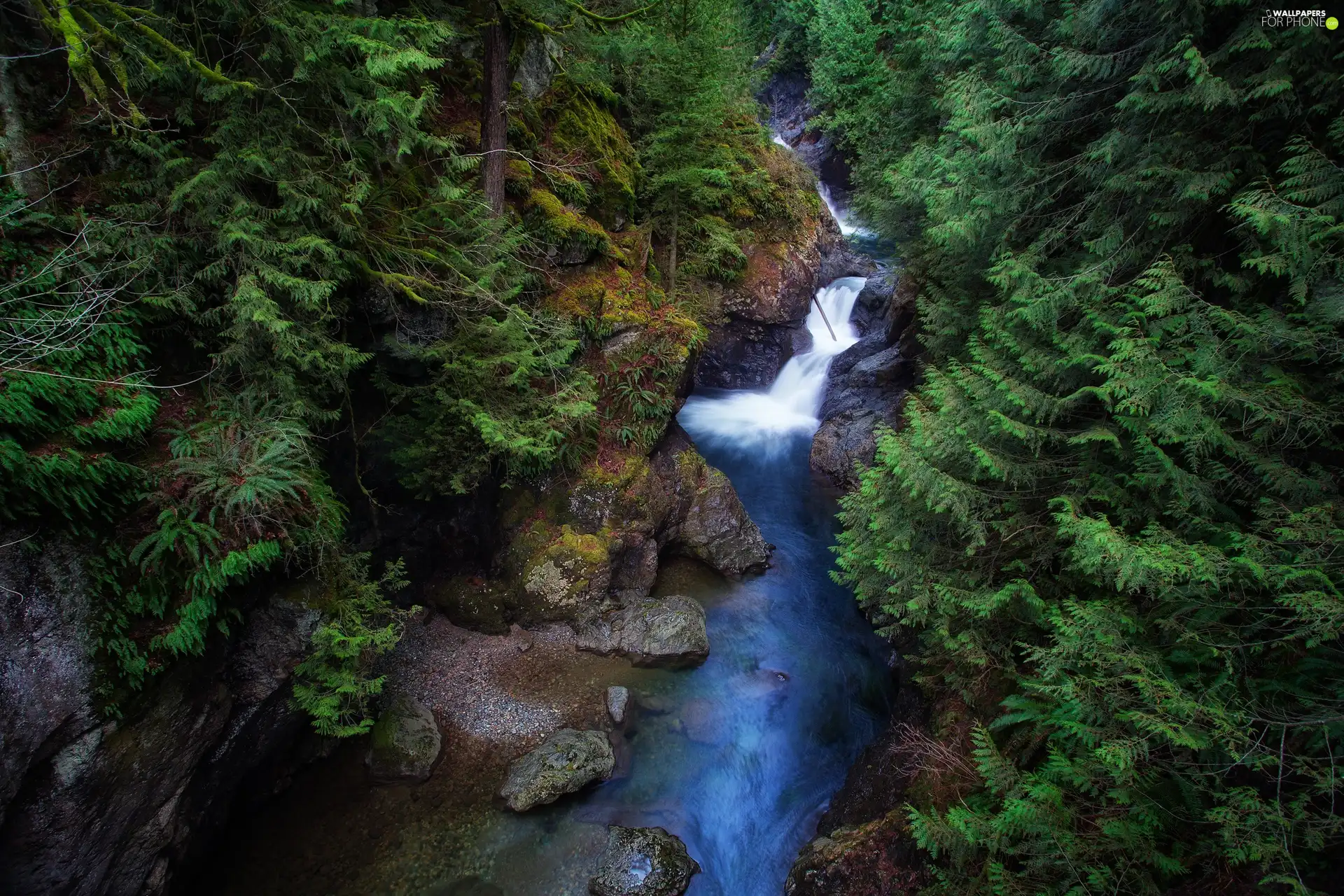 waterfall, trees, viewes, Stones