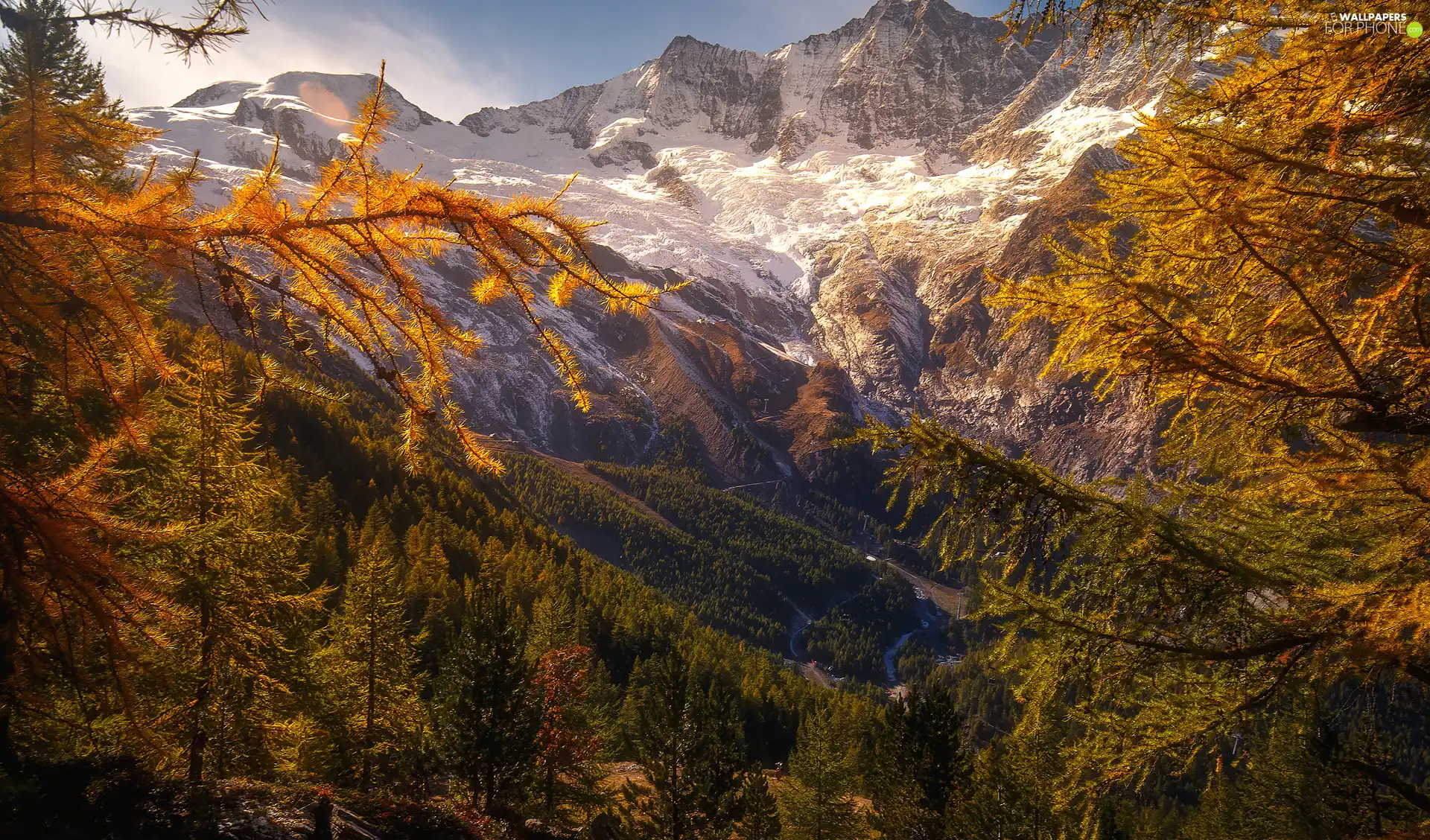 viewes, Way, Mountains, trees, autumn