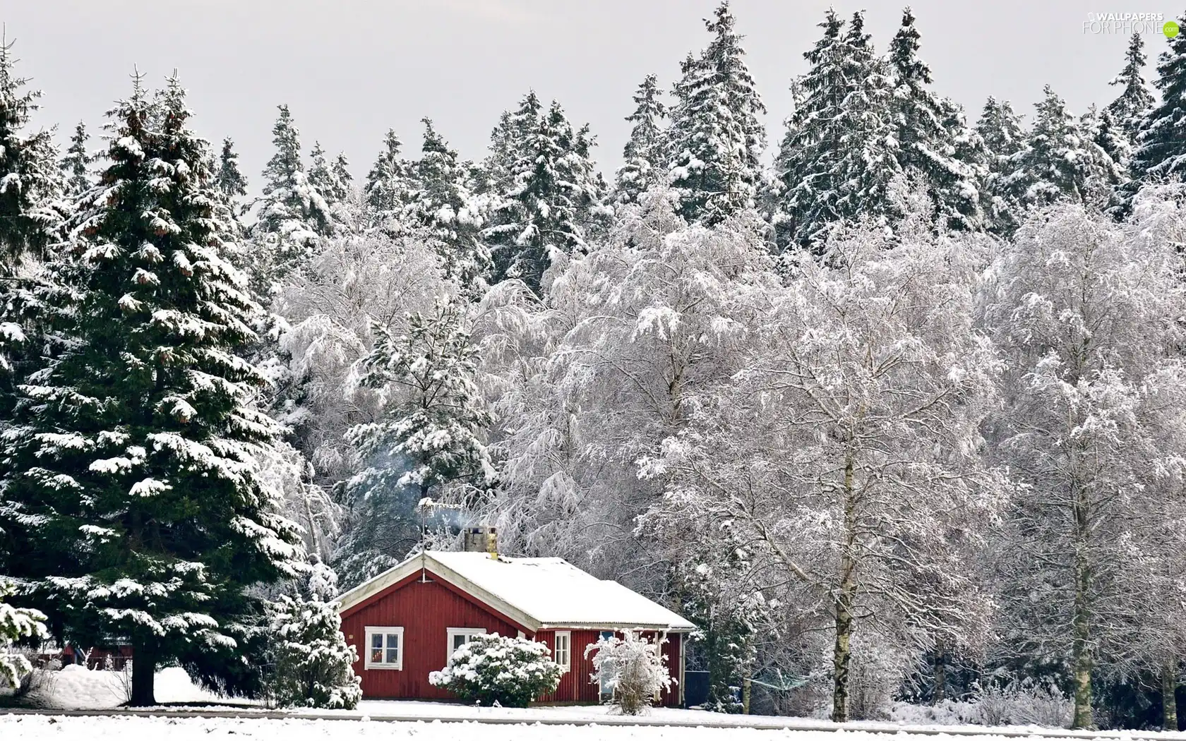 viewes, winter, Home, trees, forest