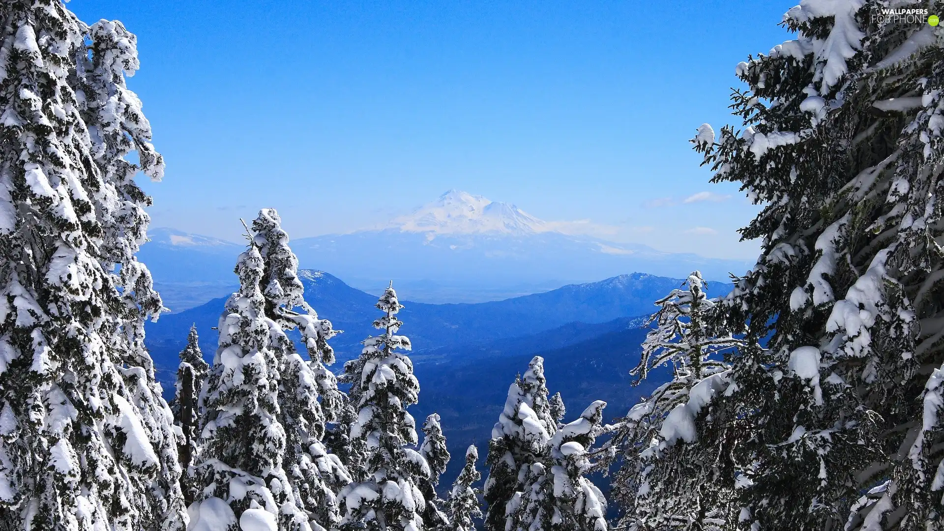 viewes, winter, Snowy, trees, Mountains