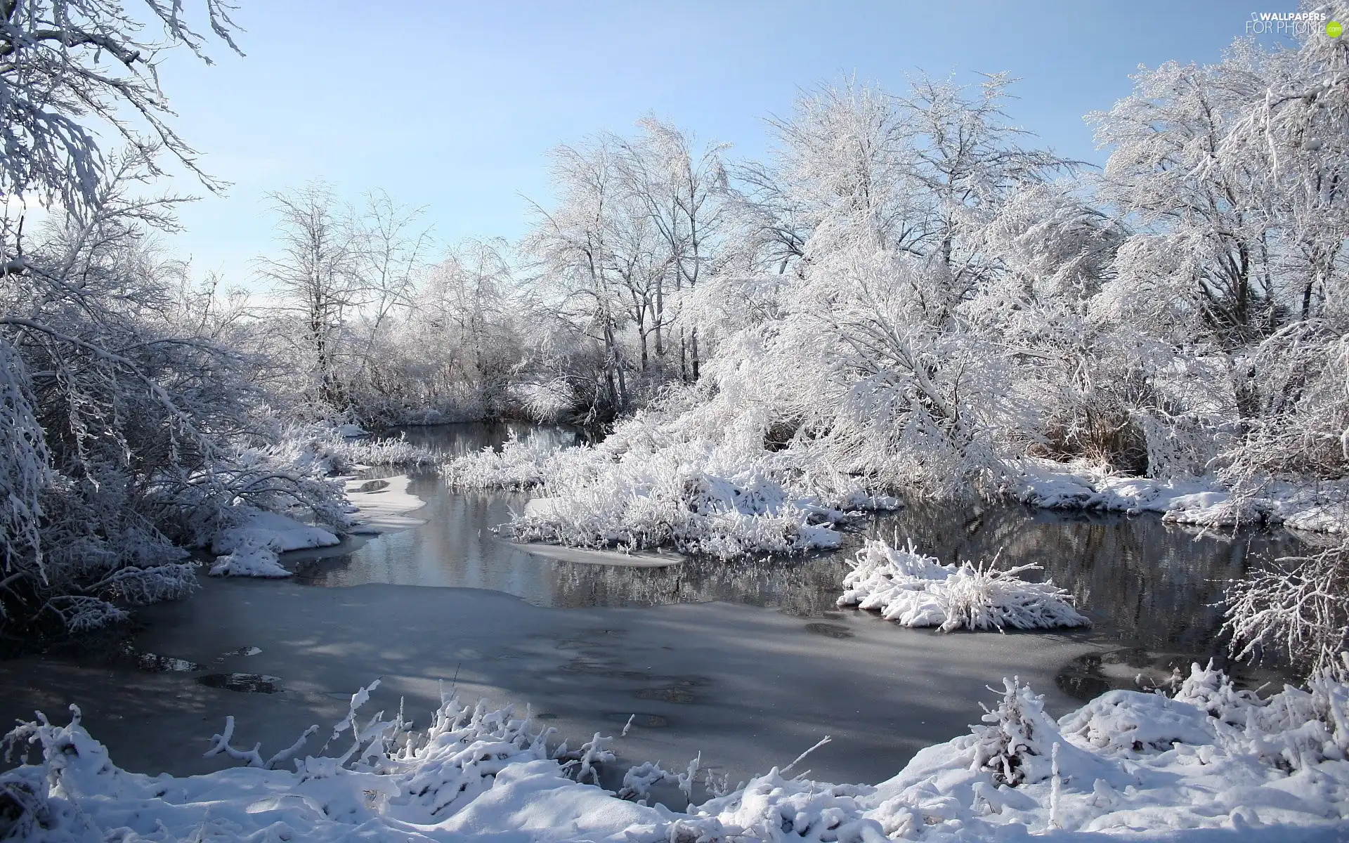 viewes, winter, Snowy, trees, River