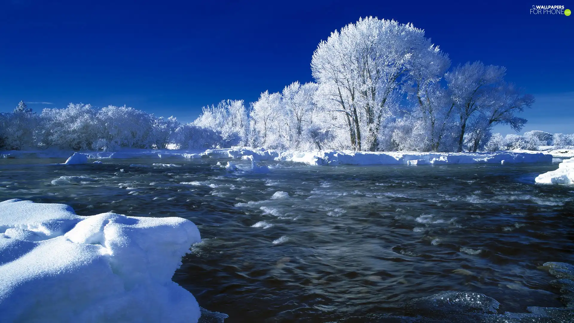 viewes, winter, Snowy, trees, River