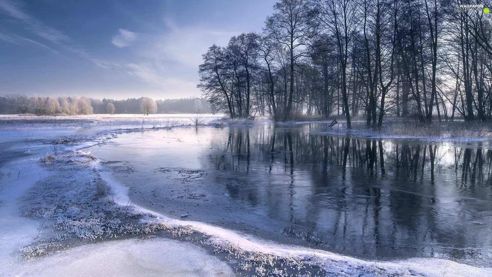 trees, viewes, winter, River, snow