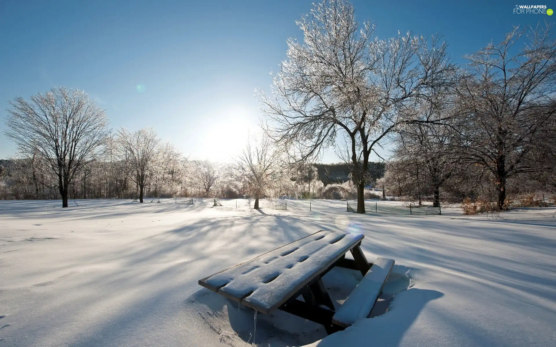 winter, trees, viewes, Bench