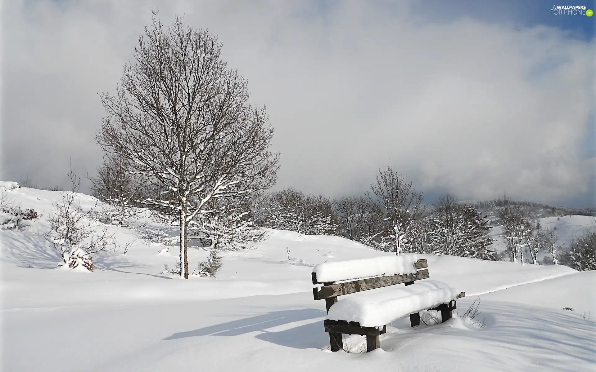 winter, trees, viewes, Bench