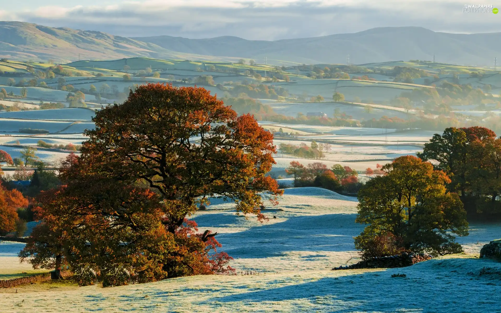 Mountains, Farms, viewes, winter, trees, field