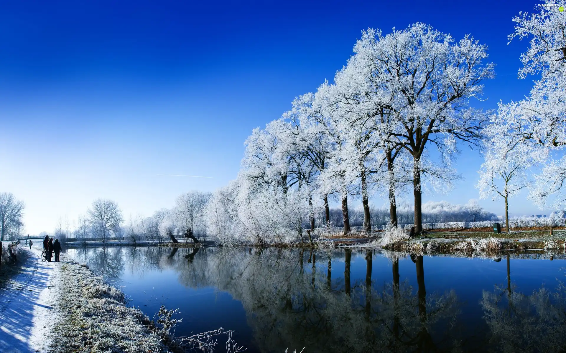 winter, trees, viewes, lake