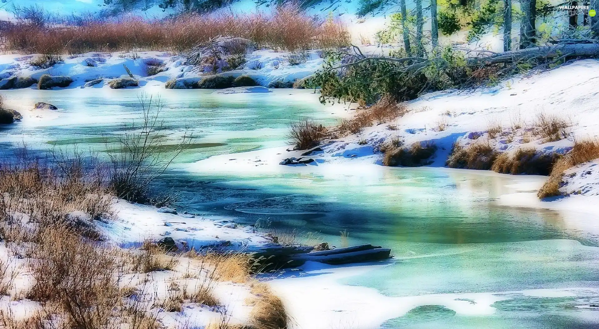 winter, trees, viewes, River