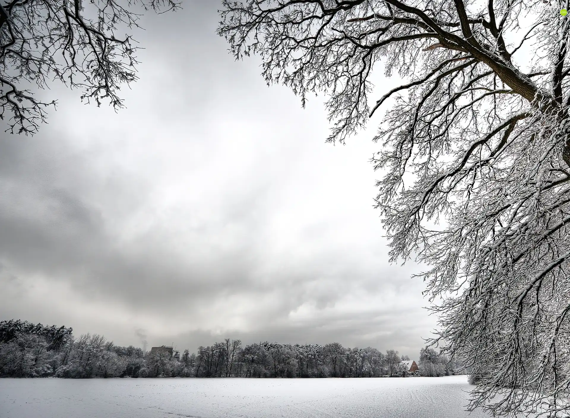 Winter, trees, viewes, scenery