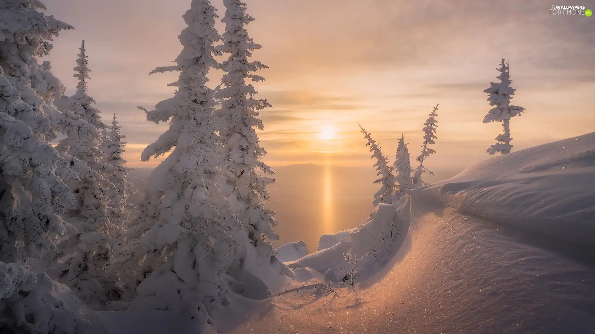 snow, Sunrise, trees, viewes, snowy, winter