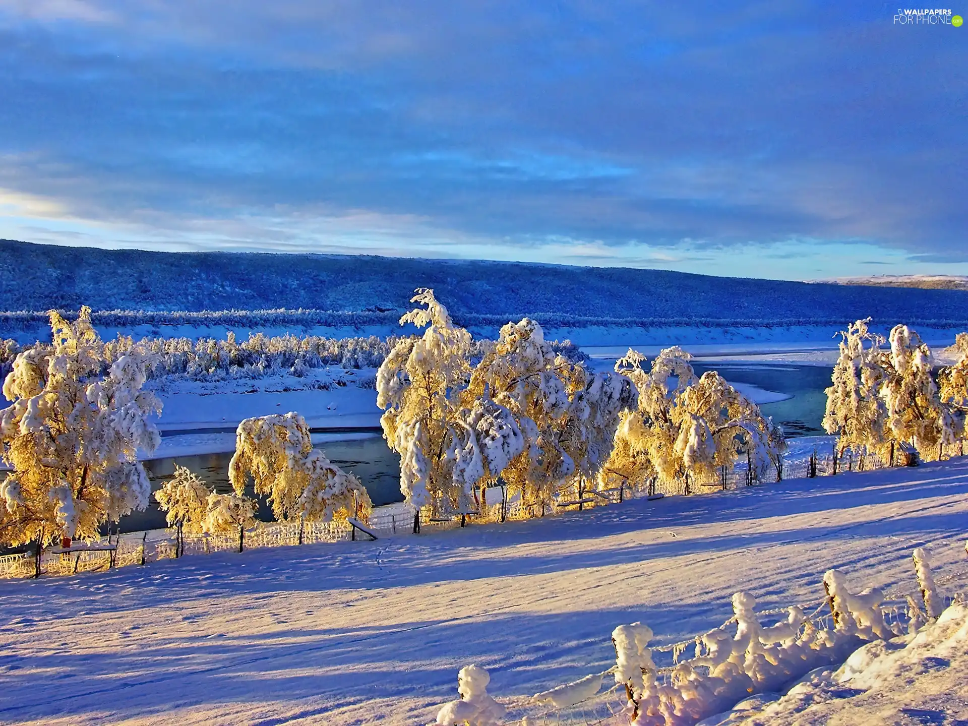 winter, trees, viewes, Way