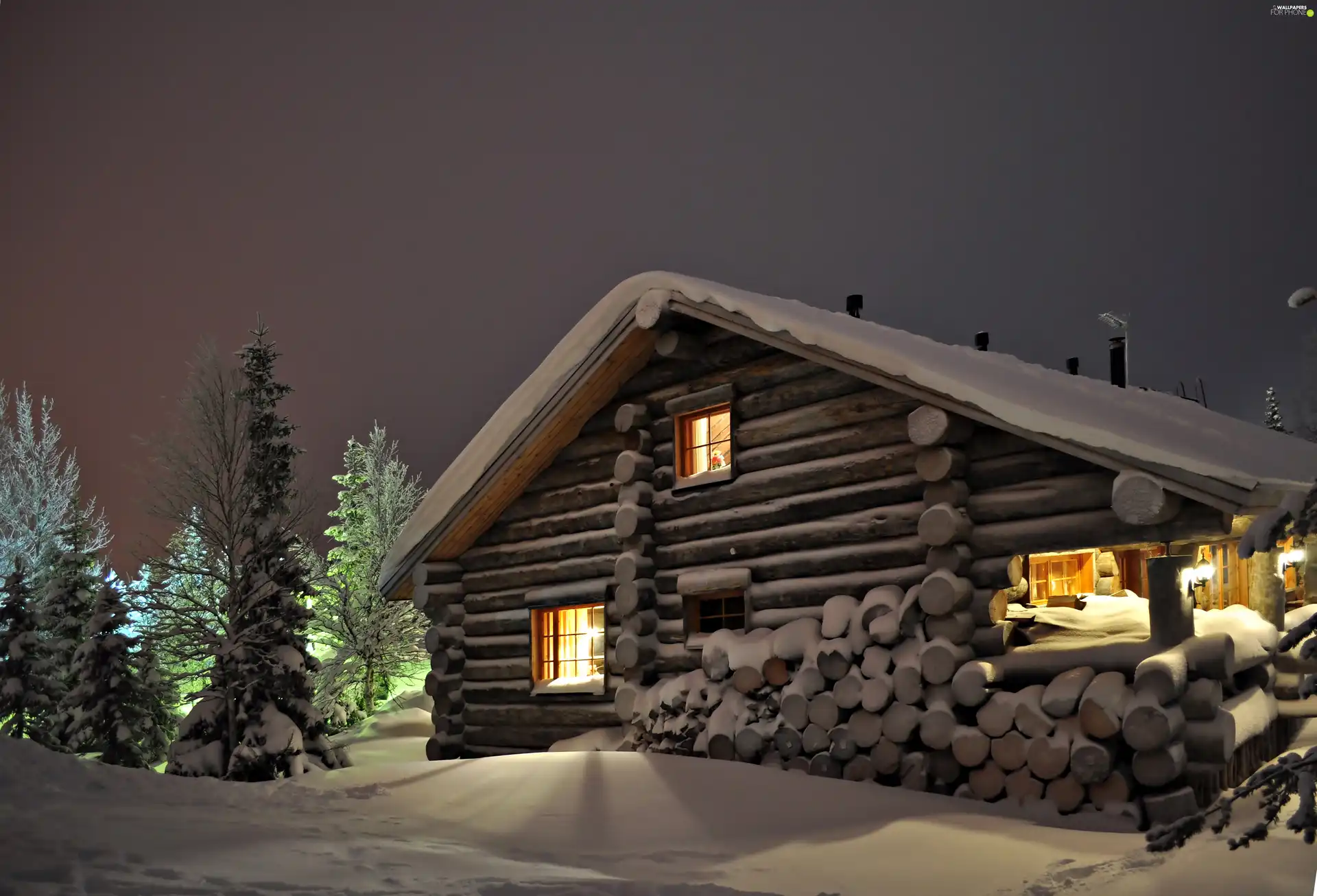 viewes, winter, Home, trees, wooden