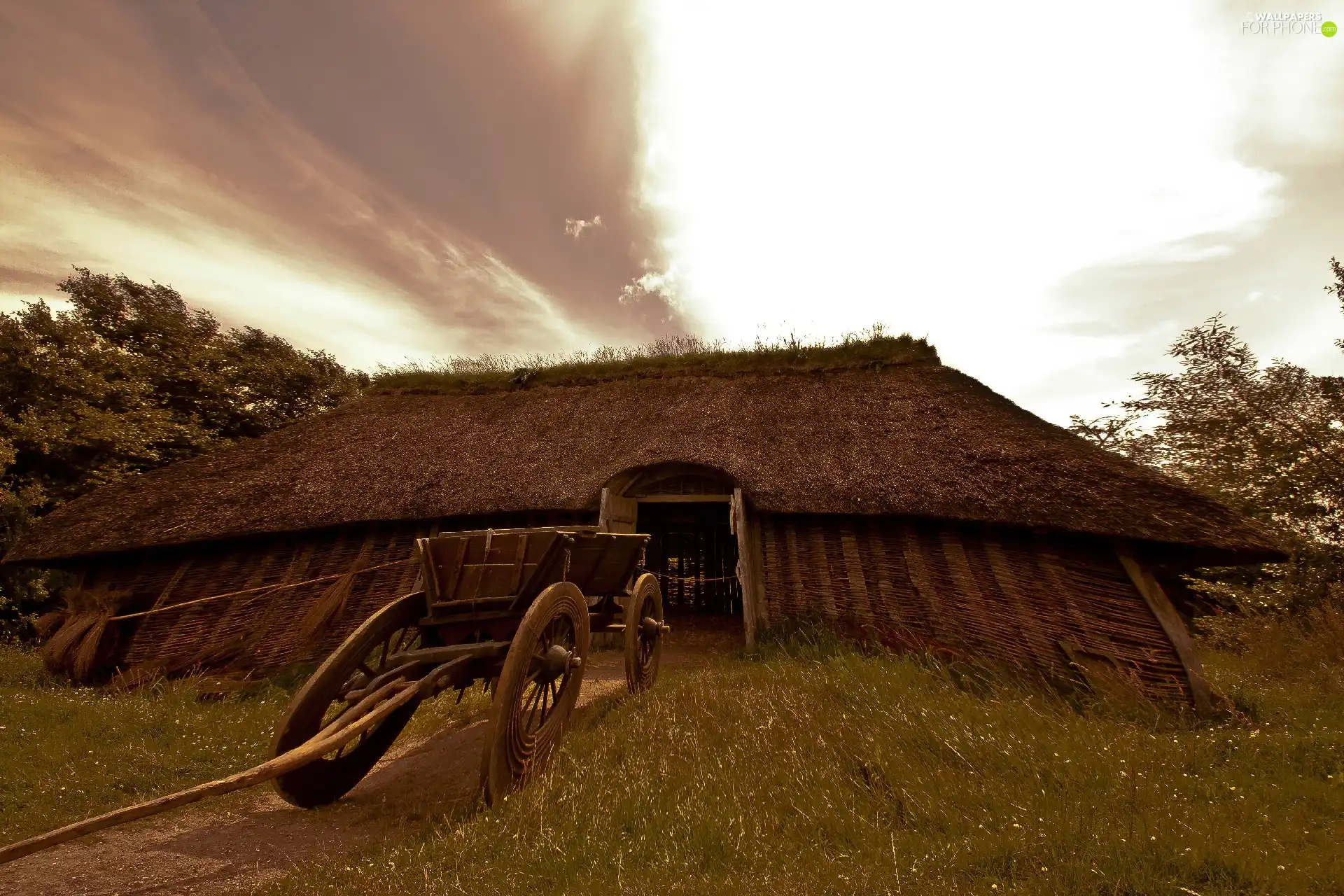 Barn, Vikings