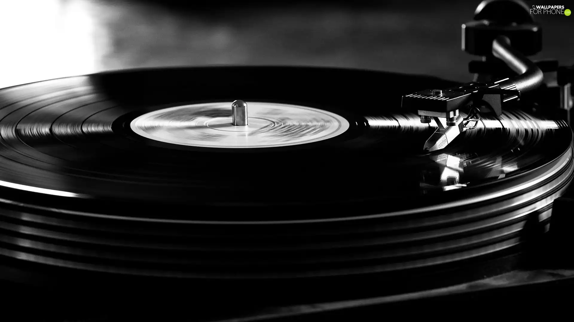 Vinyls, gramophone, CD