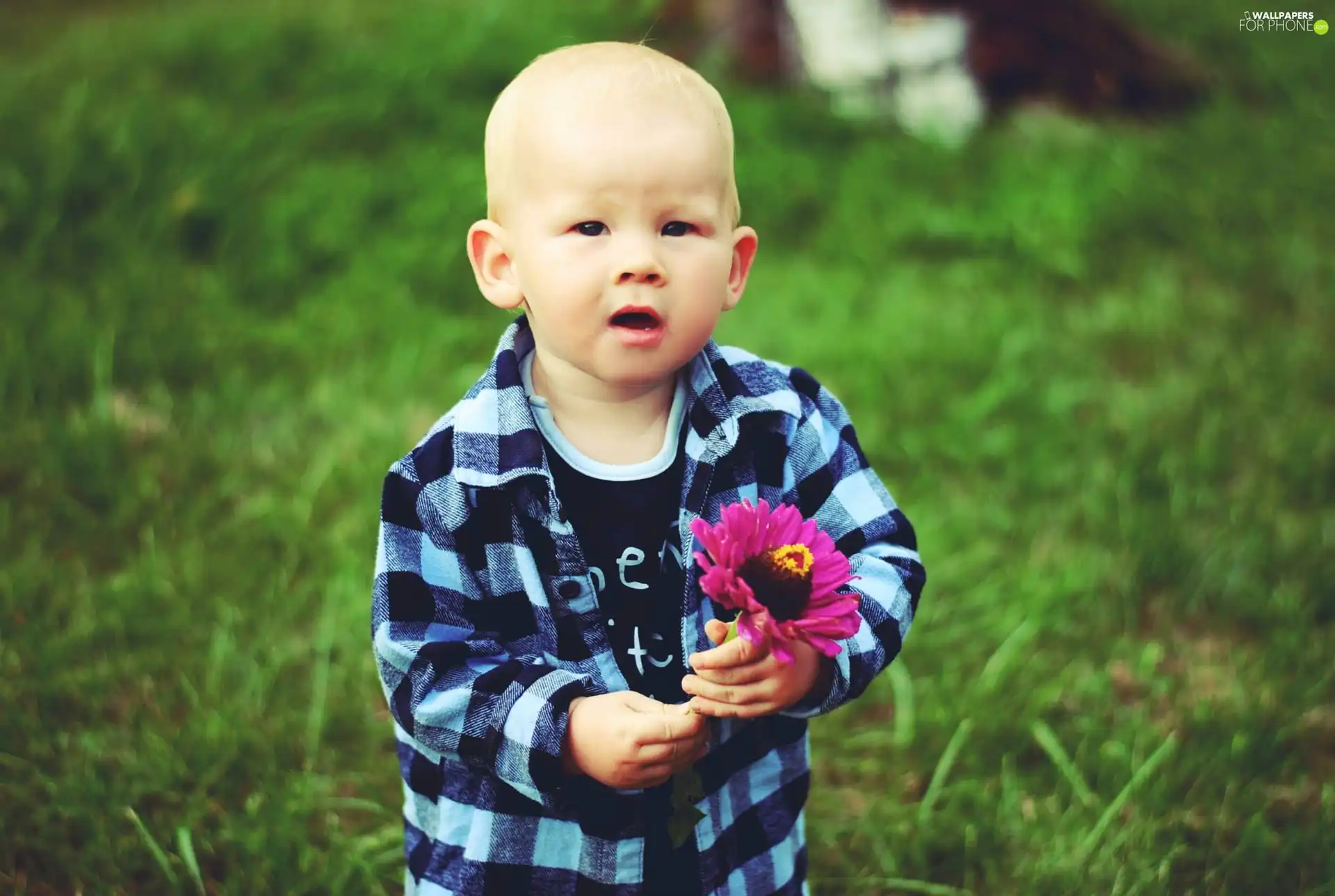 Colourfull Flowers, boy, Violet