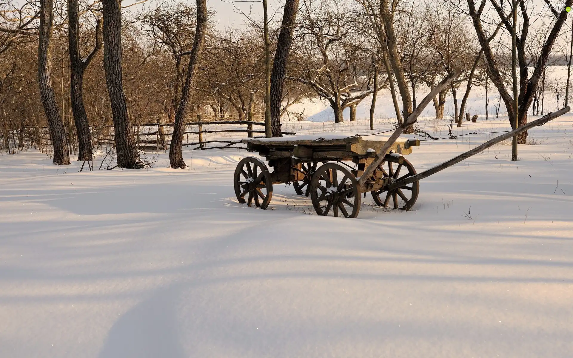 winter, viewes, wagon, trees