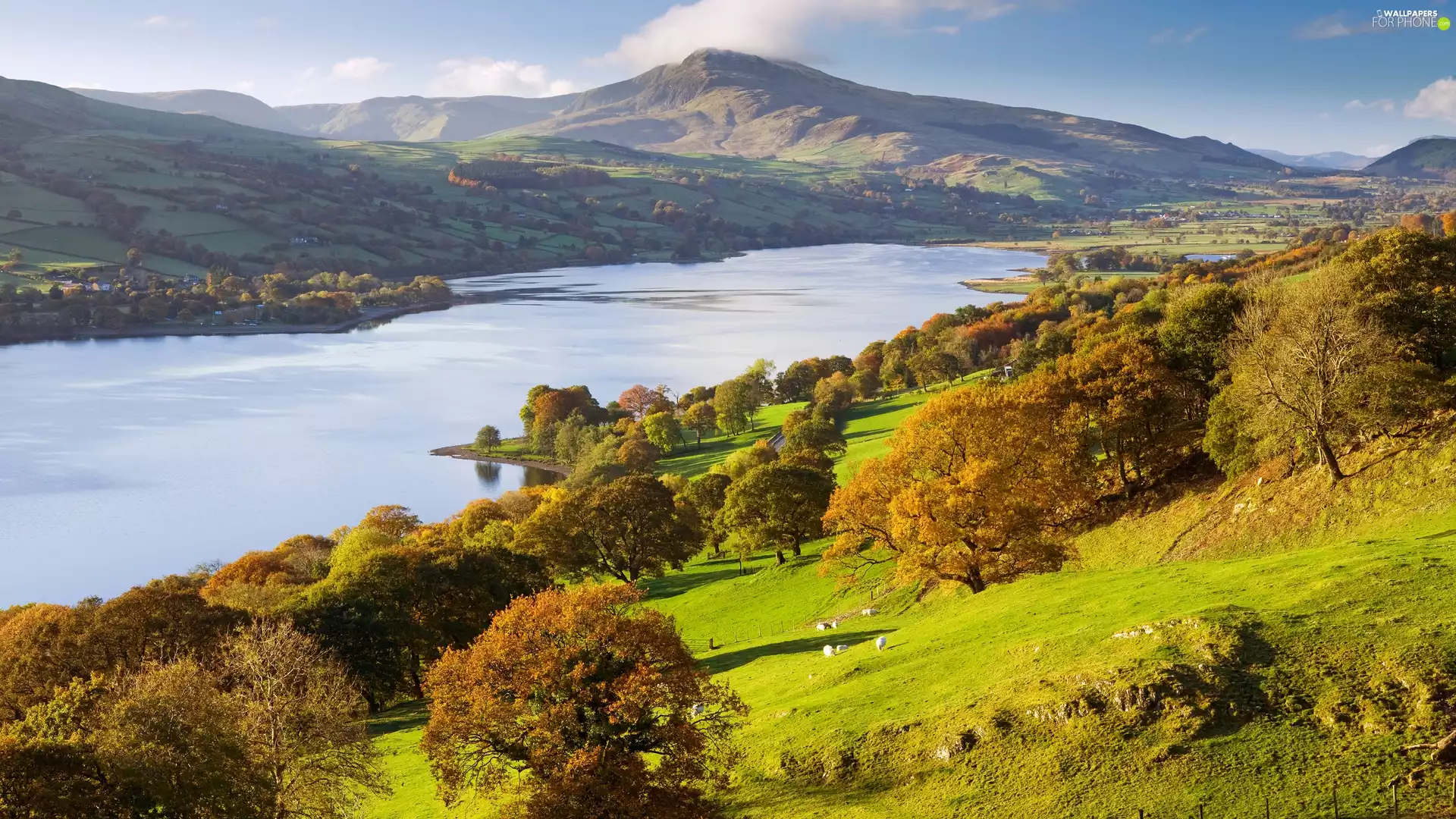 Snowdonia National Park, Bala Lake, viewes, Mountains, trees, wales, Great Britain, Aran Benllyn Peak