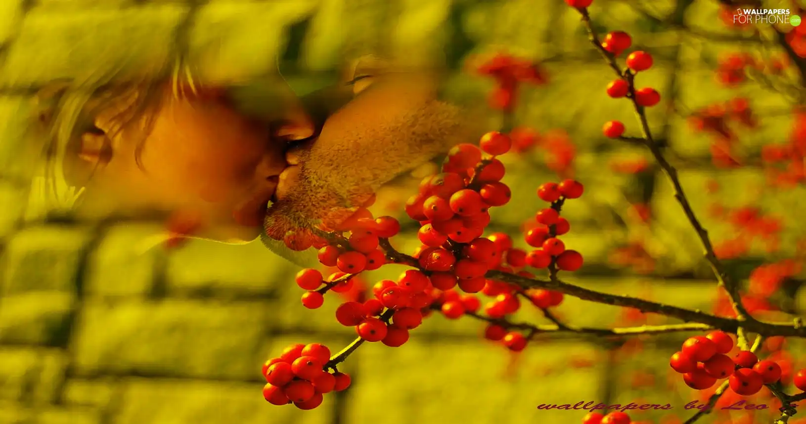 face, Fruits, wall, Plant