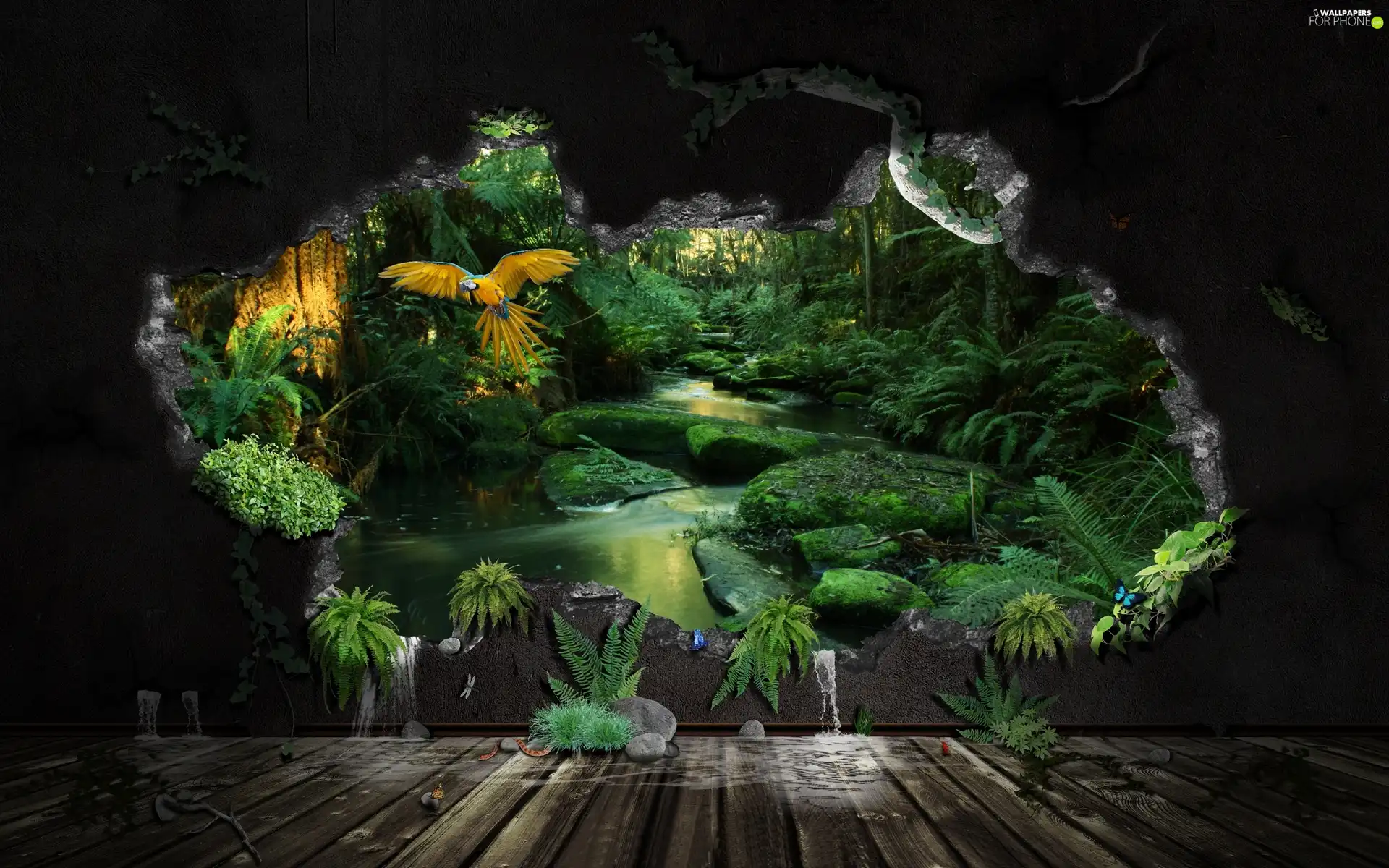 ##, wall, parrot, gap, jungle