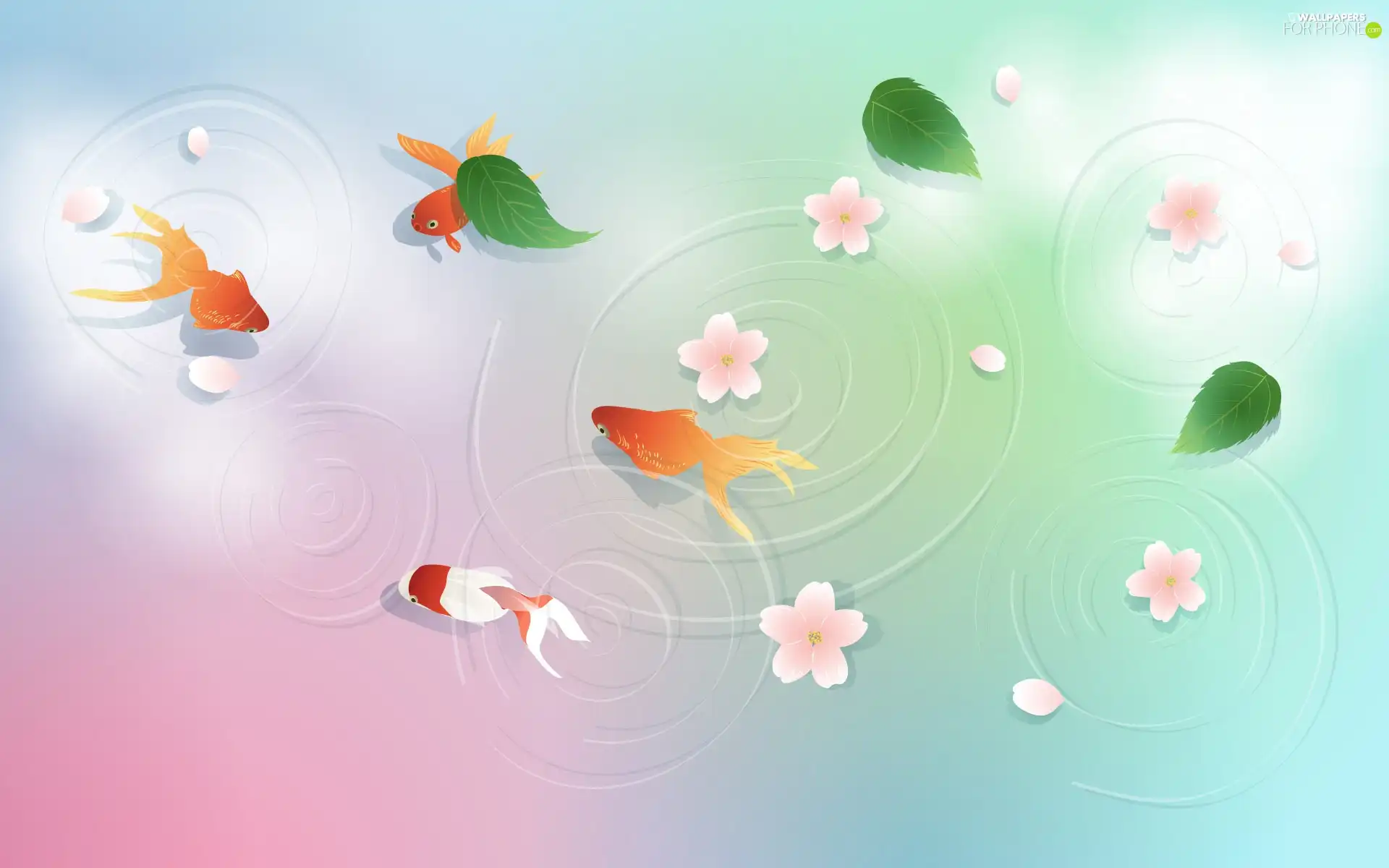 water, fishes, circles