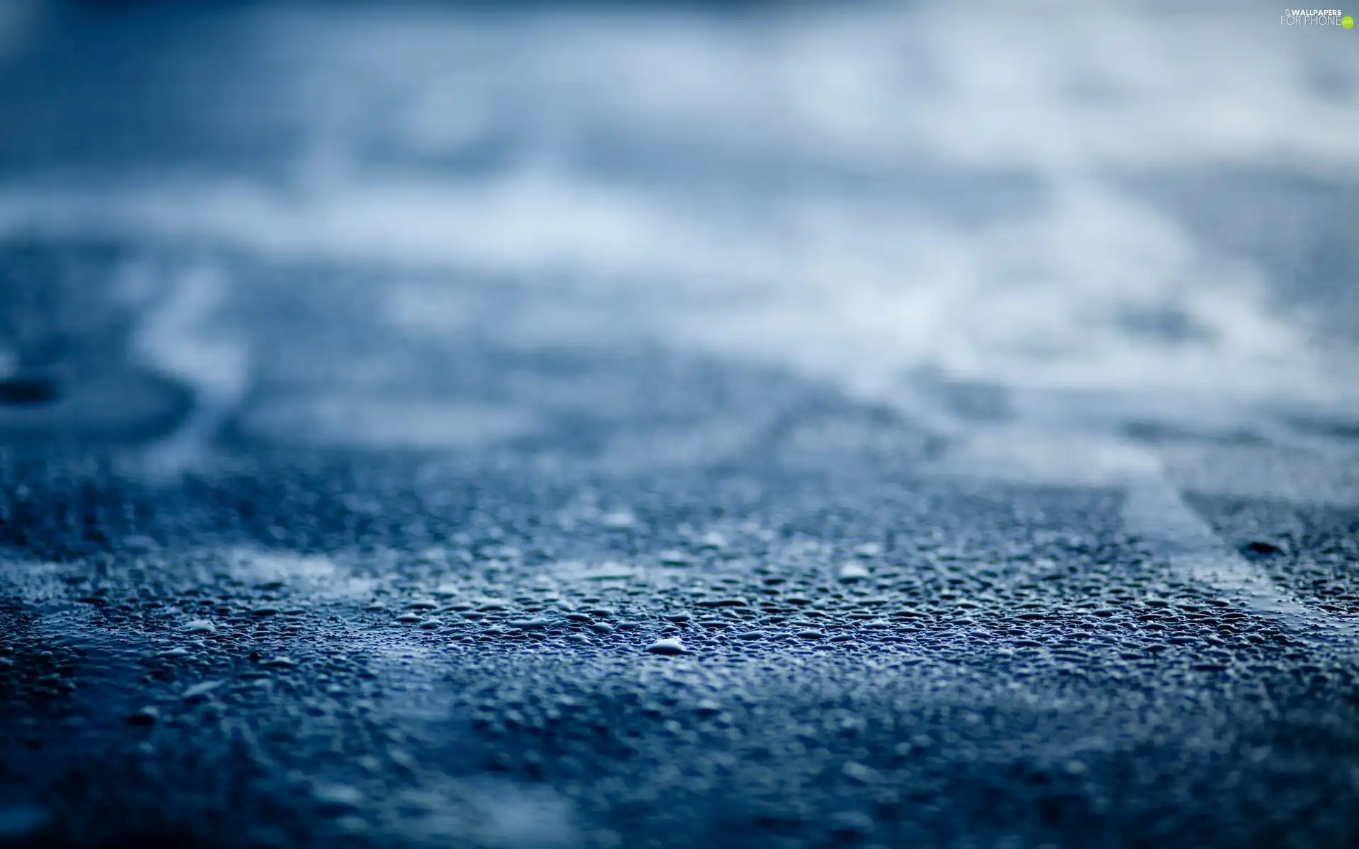 water, asphalt, drops