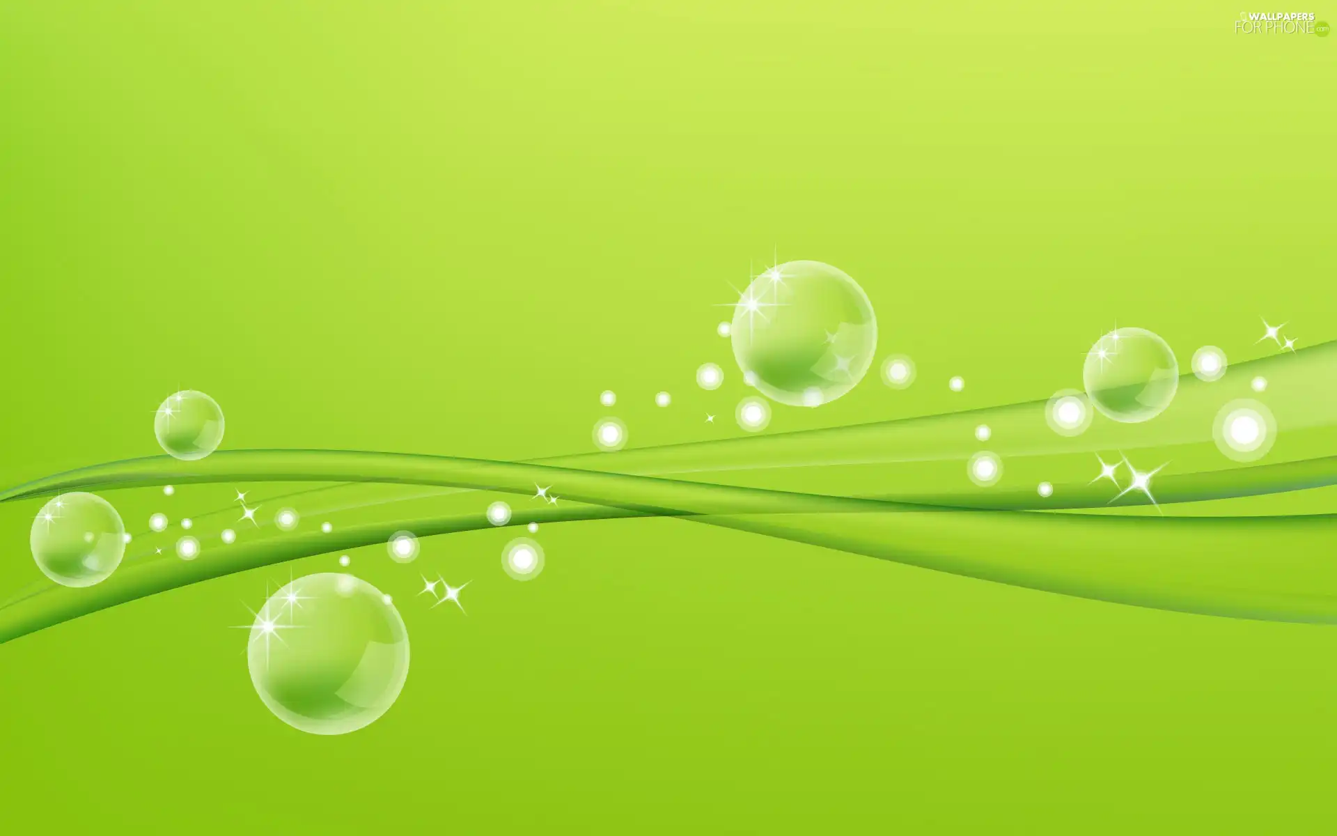 water, leaf, drops