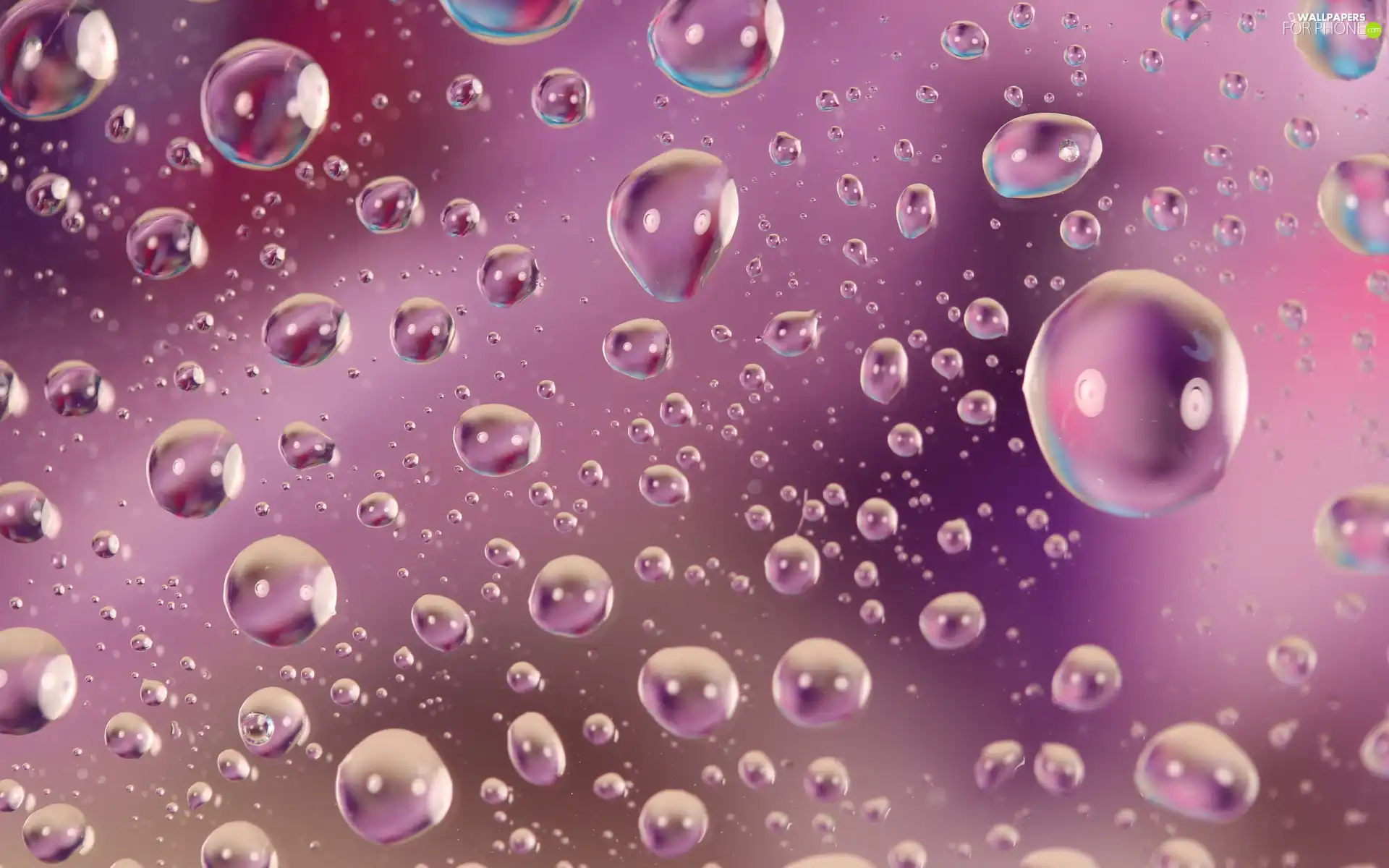 drops, water