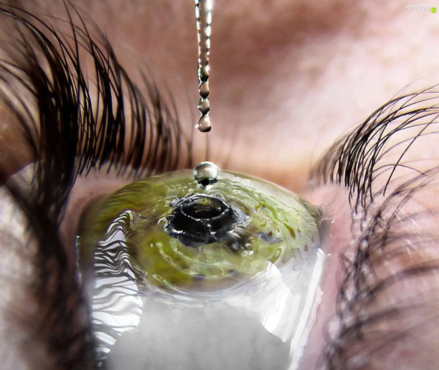 eye, cilia, water, pupil