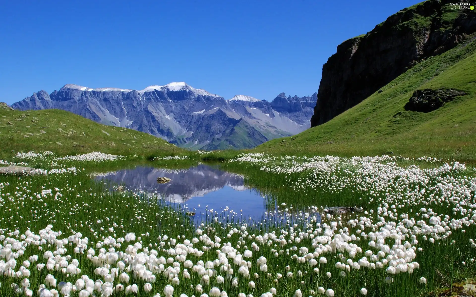 water, Mountains, Flowers